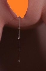 水が糸引く熟れ女
