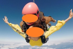 空から舞い降りました