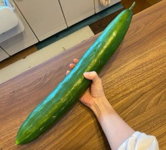 コイツはデケぇ