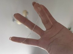 縦の糸は？