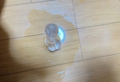 もうこんな時期