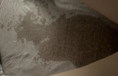 命の泉