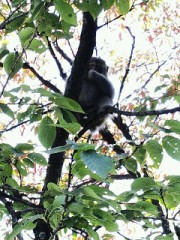 メルマガの印象的な話:夜回り先生