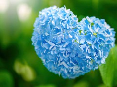 見つけた医療ニュースより 裏表同文