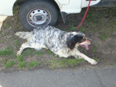 あぁ、時間がありません。