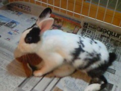 やるぜぇ、やるぜぇ、やるぜぇ