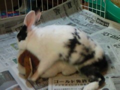 まだまだやるぜぇ