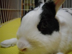 僕はいつも見つめています．．．