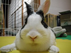 まだまだ見つめ続けます．．．