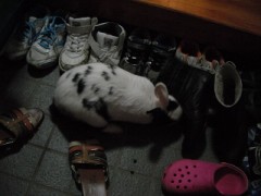 おっと、そこは臭いぞ