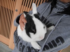 有料会員の期限今日までだったよ．．．