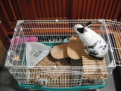 ほら、クリスマスが去って行ったよ．．．