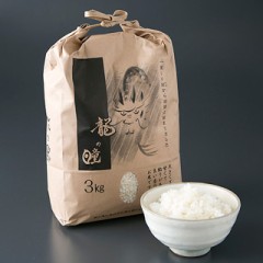 【お題日記】今更だけどハマってること。。。だって！