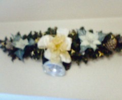 １２月８日（金）