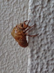 いまのままでいいのか