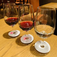 とうとう…出会えました！