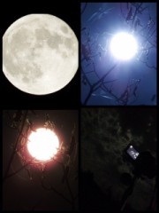 趣味のカメラ☆彡