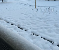 雪