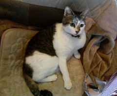 レスポンス＆ゲェエエエエ！！！