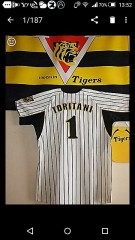 鳥谷隆が戦力外通告？引退？移籍？嘘やろ～！