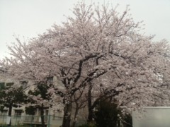 iPhoneの画面がわれた(T_T)