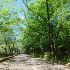 関東は梅雨明けですね！