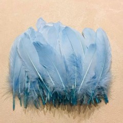 【お題日記】フェザータッチ好き？