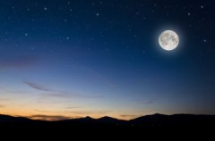 【お題日記】夜のほうが素直になれる？