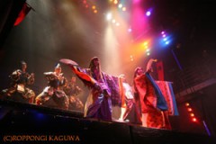 こんなお店行ってみたい!!　ってお姉さんニューハーフでらっしゃいますか!??