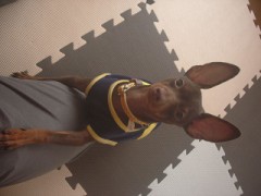 あしあと帳...よろしくね。