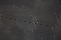 【お題日記】好きな焼き鳥メニューは？