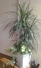 部屋に飾ってみました☆