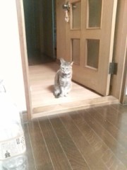 癒やしヽ( ´ー｀)ノ