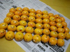 緊急地震速報ｗ