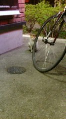 癒やし（　´∀｀）