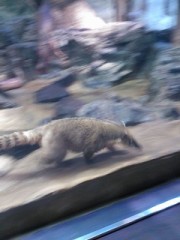 おひさ~(￣^ ￣)