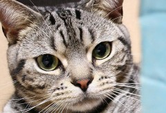 【お題日記】エッチ中に会話してますか？