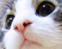 【お題日記】最近ムラムラしてる？