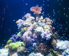 &amp;#9730;&amp;#3642;降り・・・