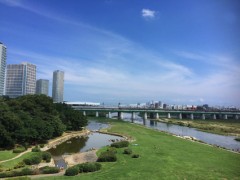 青灰はっきりと(・o・)