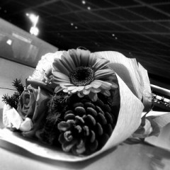 暑いドォーですね♪( ´θ｀)ノ