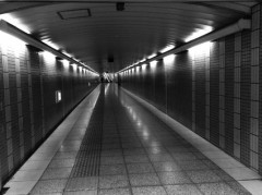 失望感の真っ只中