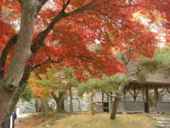 思いだしました・・＾０＾