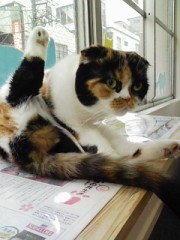 セクシーポーズ・・・？