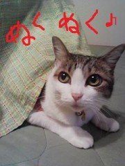 先生とデート☆