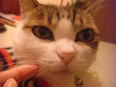 ちょこっとだけど・・・☆