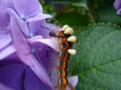 「ねぇ　私のことキライ？」って　女の子が。