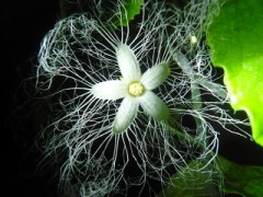 ふと怖くなる時・・・・（－－）