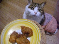 「おかずになる画像ください｣→→