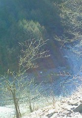 秋の湖に１人漕ぎ出せば